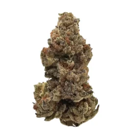 Banana Sherbet