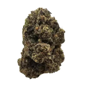 Black Mamba
