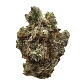 Blue Alien