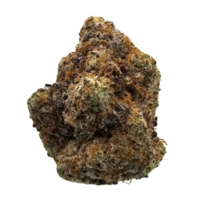 Sour Apricot
