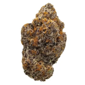 Blue Cookies
