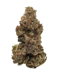 Banana Sherbet