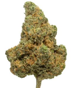 Blue Dream
