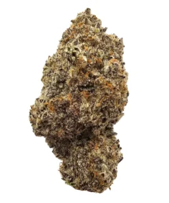Black Sherbert