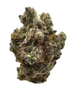 Blue Alien