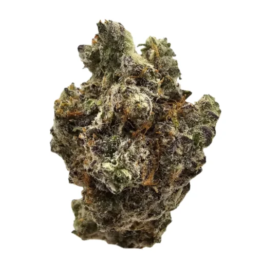 Blue Alien