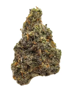 GMO Sherbert