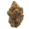 Strawberry Guava