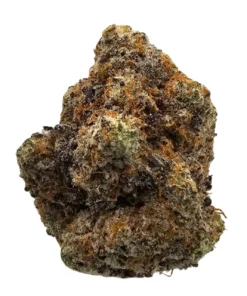 Sour Apricot