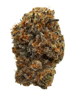 Ice Berry