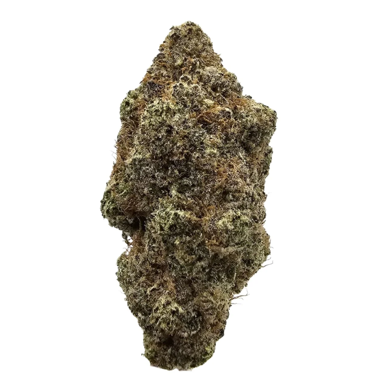 blackberry-cream-thca-flower-bud Blackberry Cream