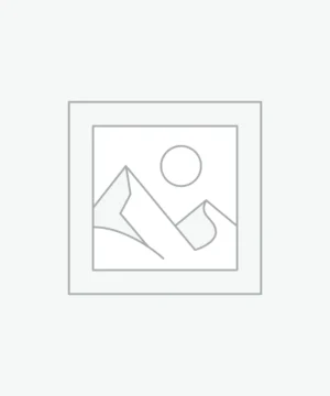 Uncategorized